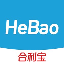Ứng dụng Hebao hỗ trợ quét trực tiếp thanh toán mã thanh toán ngoại tuyến Alipay cho người bán